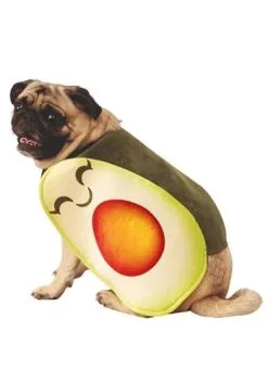 Rubies Costume Co. Inc Adorable Avocado Dog Costume