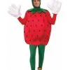 Forum Novelties, Inc Strawberry Costume For Adults