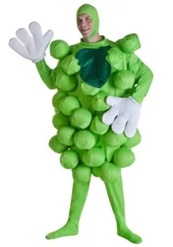 Fun Costumes Green Grapes Costume