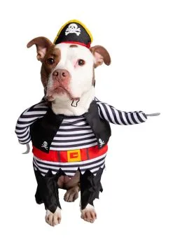 Pet Krewe Pirate Pet Costume