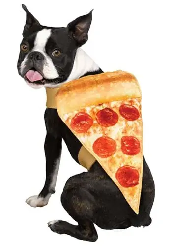 Fun World Pizza Dog Costume