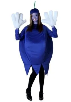 Fun Costumes Plus Size Blueberry Costume