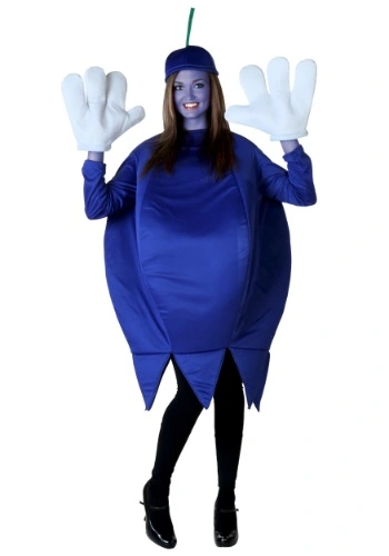 Fun Costumes Plus Size Blueberry Costume