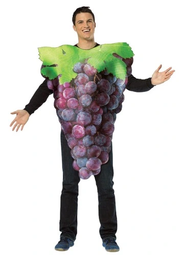 Rasta Imposta Purple Grapes Costume For Adults