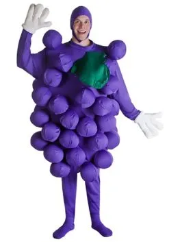 Fun Costumes Purple Grapes Costume
