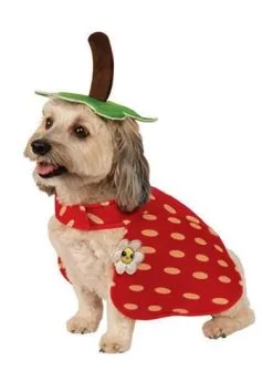Rubies Costume Co. Inc Yummy Strawberry Dog Costume